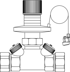 Bild von OVENTROP Differenzdruckregler „Hycocon DTZ“ DN 15, G ¾ AG, PN 16, Sollwert 50 - 300 mbar, Art.Nr. : 1062104