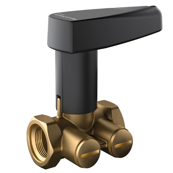 Bild von Flamco - comap - NexusValve Relax DN 40 1 1/2"IG, Art.Nr. : MN80597.724